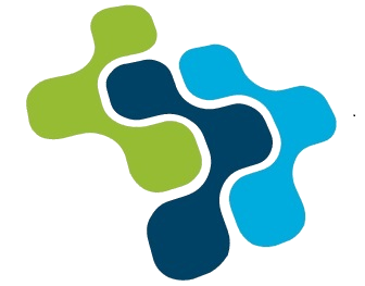 INTACT IT INFO Logo